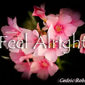 Picture for song 'Feel Alright' by artist 'Cedric Robinson Knight'