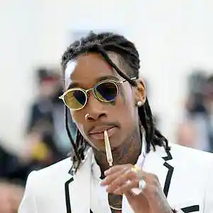 Picture for song 'Wiz Khalifa Type Beat' by artist 'CosaNostraTrippyy'