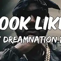 Picture for song 'Look Like (Bankroll & Young Jeezy Style)' by artist 'Dreamnation Productionz'
