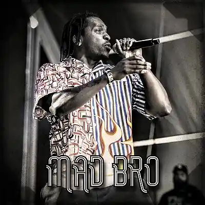 Picture for song '*Mad Bro* - Smooth Trap Instrumental (Prod. elbr' by artist 'Elbr'