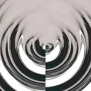 Picture for song 'Jeb - Say what' by artist 'Jeb Don'
