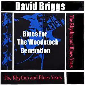 Picture for song '12. Blues For The Woodstock Generation' by artist 'Major Snagg'