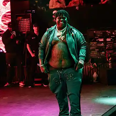 Picture for song 'Pink Panther - BigXThaPlug Type Beat' by artist 'Milanmadeit'