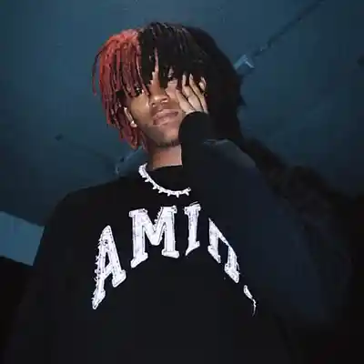 Picture for song 'DC The Don x Midwxst x Tory Lanez Type Beat' by artist 'syobangz'