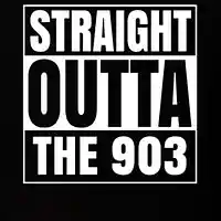Picture for song '903(ETX ANTHEM)' by artist 'Yung Lordz'