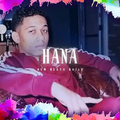 Picture for song 'Hana' by artist 'Brandnew Beats'