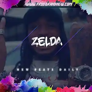 Picture for song 'Zelda' by artist 'Brandnew Beats'