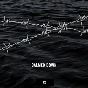 Picture for song 'CLAMED DOWN' by artist 'CD BEAT'