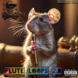 Picture for song 'Flute Loops 2.0 (EugeneMade Remix)' by artist 'emcdouble'