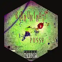 Picture for song 'PUSSY' by artist 'Jayburn'