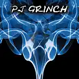 Picture for song 'Fast As You Can' by artist 'PJ GRINCH'