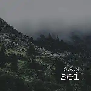 Picture for song 'sei' by artist 'IOWA'