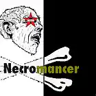 Picture for song 'Ninja Maze' by artist 'Turtle Necromancer'