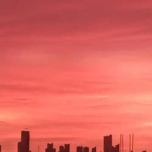 cover pic