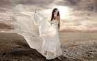 Picture for song 'THE DREAM' by artist 'Aaron's Bud'