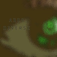 Picture for song 'Diverse' by artist 'Abdo Muzic'
