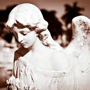 Picture for song 'Angels Don't Die in Rapture' by artist 'Adrian Rosenfeldt'