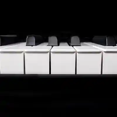 Picture for song 'Moonlight (sold)' by artist 'Albert Marley'