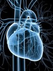 Picture for song 'Cardiovascular* sample' by artist 'Ballerboye'