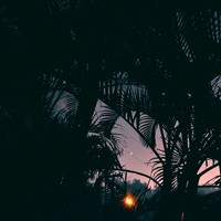 cover pic