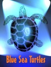 Picture for song 'Run To Me' by artist 'Blue Sea Turtles'