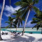 Picture for song '*SMASH*Beauty Of It All' by artist 'C3RTIFIED MUZIK'