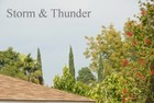 Picture for song 'Storm and Thunder' by artist 'CaliBoy CalWayne'