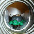 Picture for song 'Lina Oculina' by artist 'Calvin Stewart'