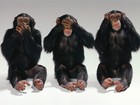 Picture for song 'Toone , cno , bug' by artist 'Clarke County Crew'