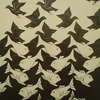 Picture for song '23' by artist 'Cody Parra'