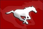 Picture for song 'GO STAMPS GOOO!!!' by artist 'D A F'