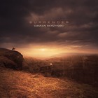 Picture for song 'Damian Skrzyski - Surrender' by artist 'Day4Dream'