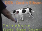 Picture for song 'Telephone' by artist 'DGB - Dustin Gibson'