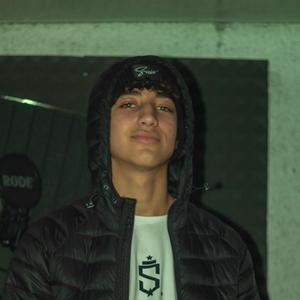 Picture for song 'Samurai (Drill / Beny Jr, Aiman Jr Type Beat)' by artist 'ernesttlovesyou'