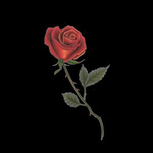 Picture for song 'INTERNET MONEY TYPE BEAT - ROSES' by artist 'Far Out Beats'