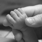 Picture for song 'Lullaby' by artist 'Fragile Forest'