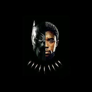 Picture for song 'Black Panther' by artist 'Babik Beats'