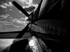 Picture for song 'Fly *FREE D/L*' by artist 'JMastermind'