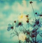 Picture for song 'True Love Is Called Surprise by Dave Martin' by artist 'Kurt Anderson (US)'