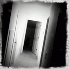 Picture for song 'puzzle (unmastered)' by artist 'LaForest'