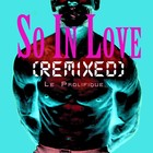 Picture for song 'So In Love (Clonation Mixs Remix)' by artist 'Le Prolifique'