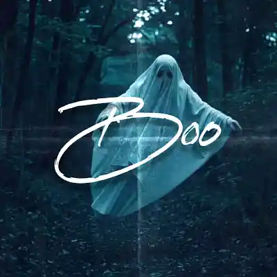 Picture for song 'Boo' by artist 'Lowman Productions'