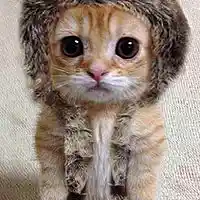 Picture for song 'Def not blooze' by artist 'Michael Escamilla GTR'