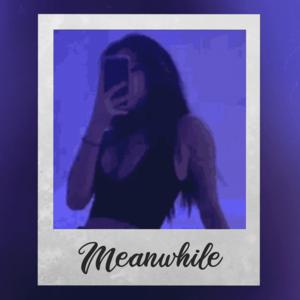 Picture for song '"Meanwhile" - Drake Acoustic Guitar Beat' by artist 'Milanmadeit'