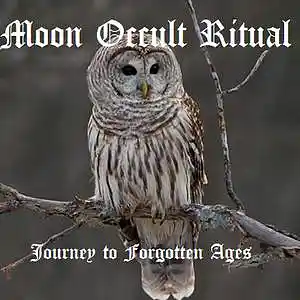 Picture for song 'Journey to Forgotten Ages' by artist 'Moon Occult Ritual'