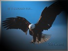 Picture for song 'If I could fly...' by artist 'Mr Grant'