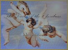 Picture for song 'The dance of the Cherubim' by artist 'Mr Grant'