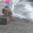 Picture for song 'Crushing Debate' by artist 'Ozmoroid'