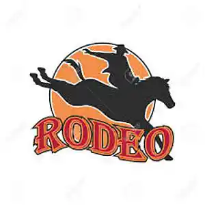 Picture for song 'Rodeo' by artist 'Pioneers'