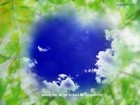 Picture for song 'I Wish' by artist 'Priceless Music'